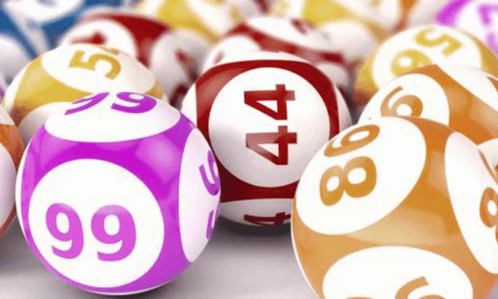 article_32489029_gallery_1776331647420