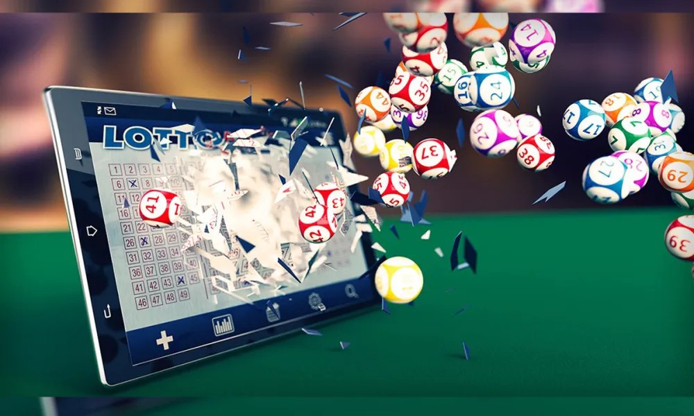 article_32496495_gallery_1777369609127-1